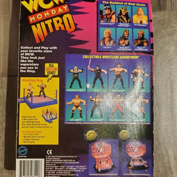 WCW Rick Flair figure - Picture 4 of 5